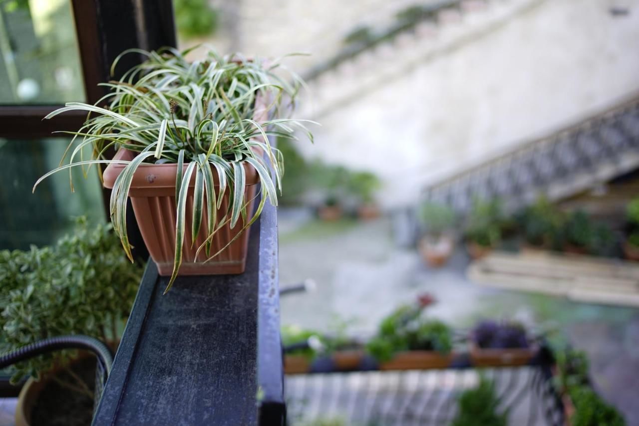 Гостевой дом Aisi2 Кутаиси-20